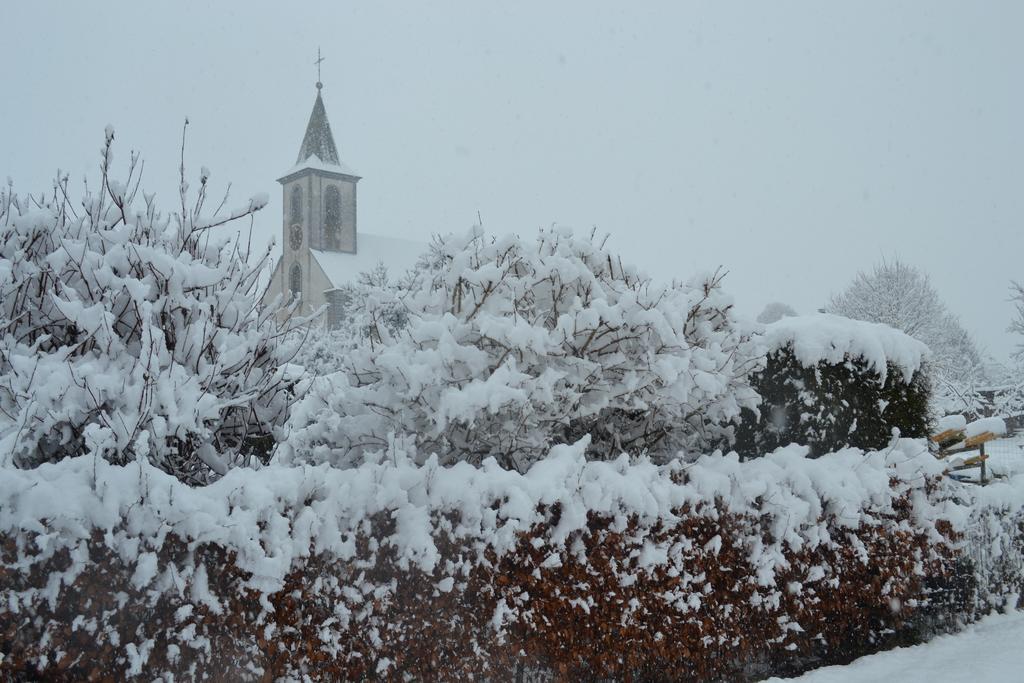 Gite La Clef Des Champs Libin Exterior foto
